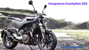 Husqvarna Svartpilen 250